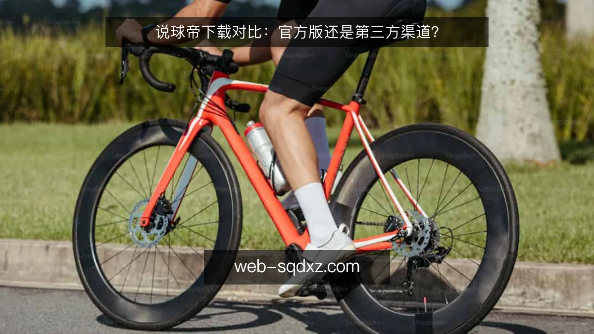说球帝下载对比：官方版还是第三方渠道？
