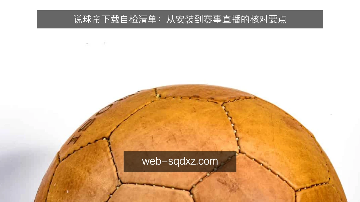 说球帝下载自检清单：从安装到赛事直播的核对要点