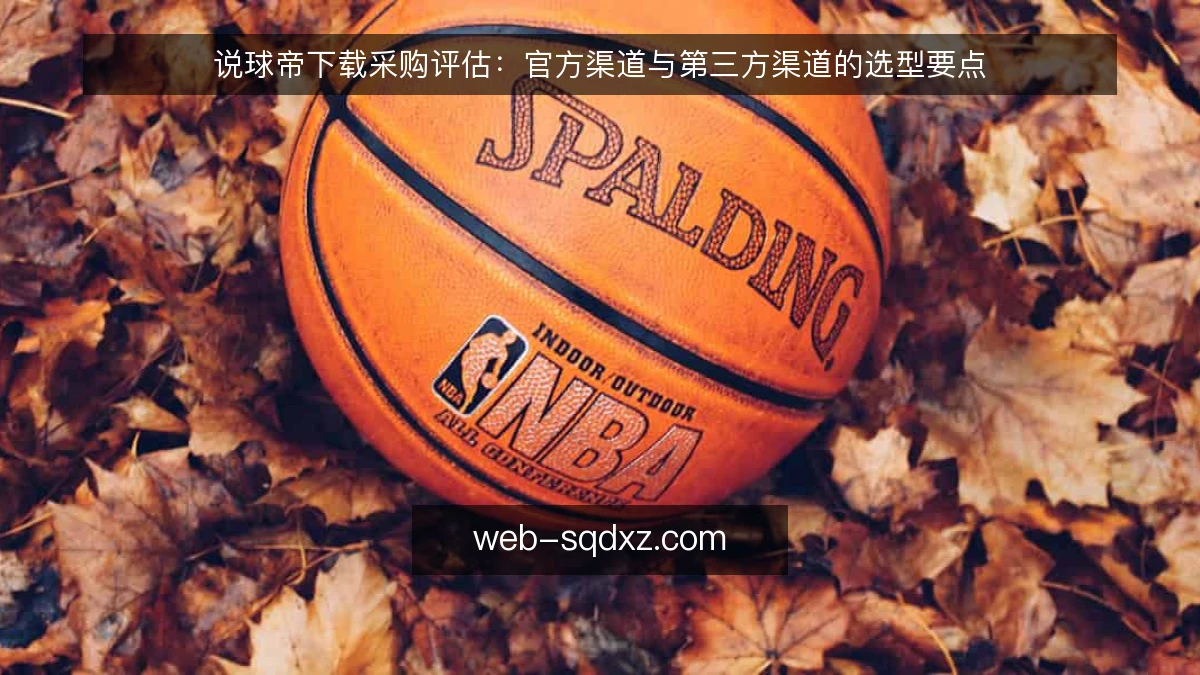 说球帝下载采购评估：官方渠道与第三方渠道的选型要点